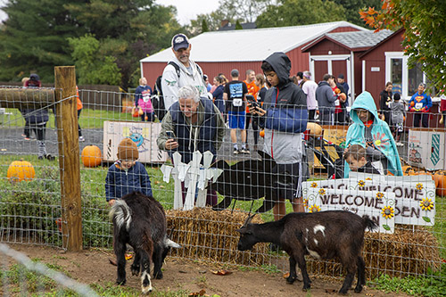 pumpkin run